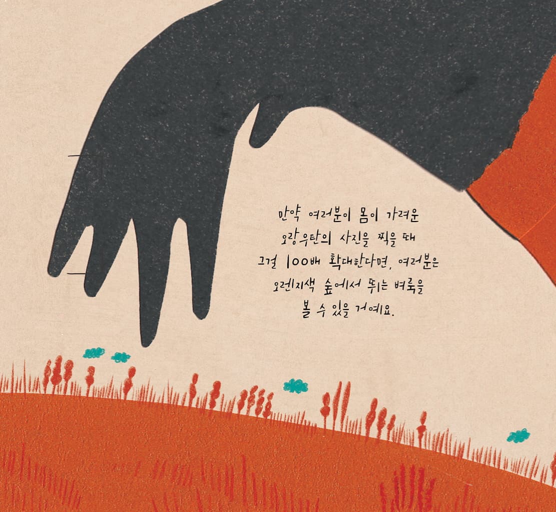 어쩌면 크고 어쩌면 작은 책