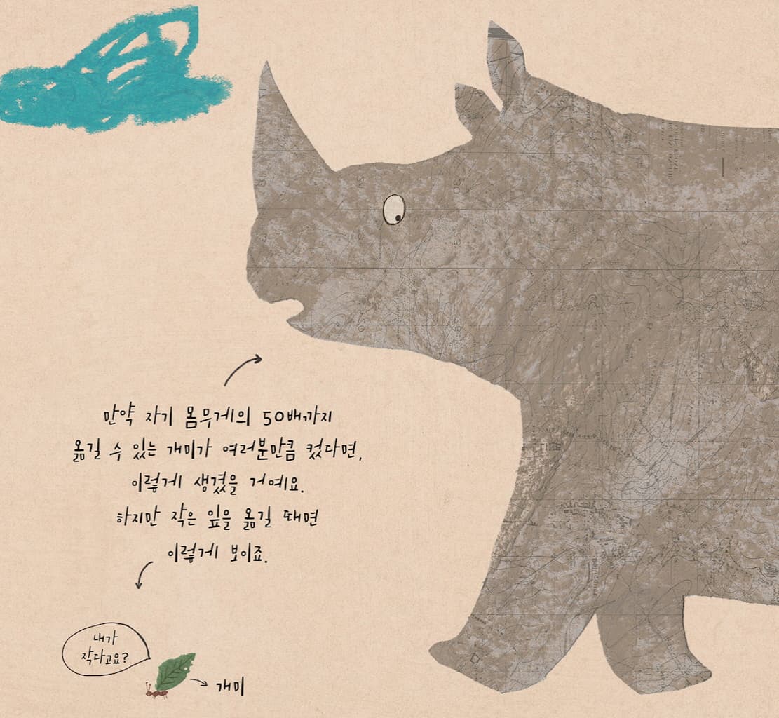어쩌면 크고 어쩌면 작은 책