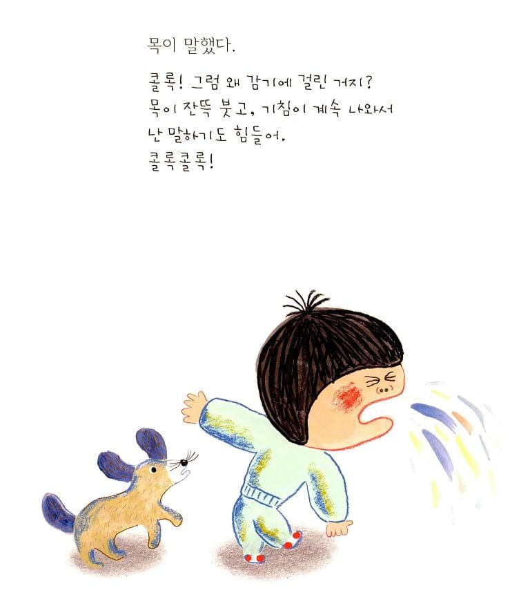 감기책