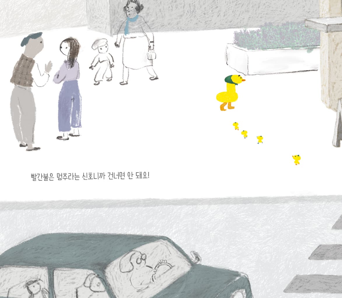엄마 오리 아기 오리