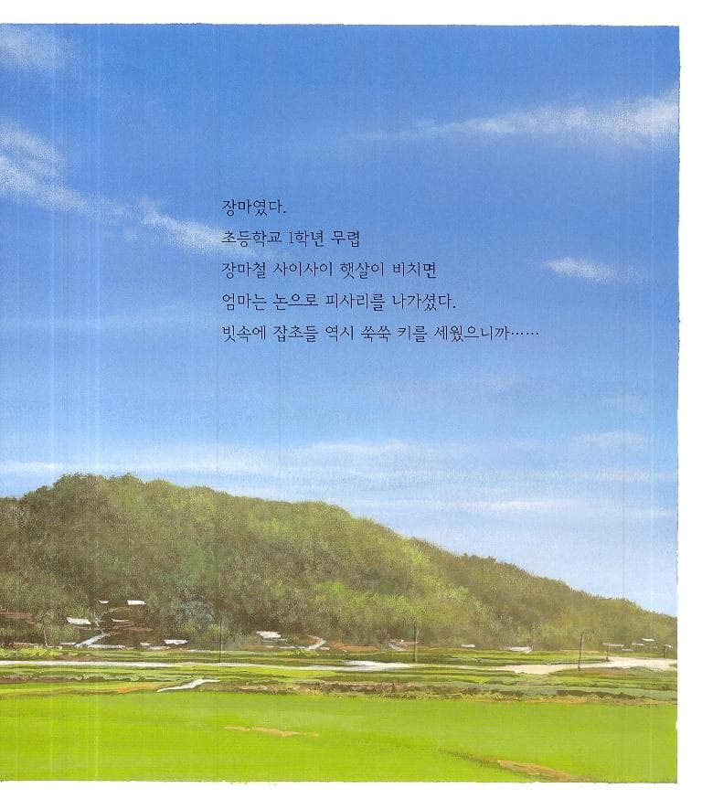 엄마의 품
