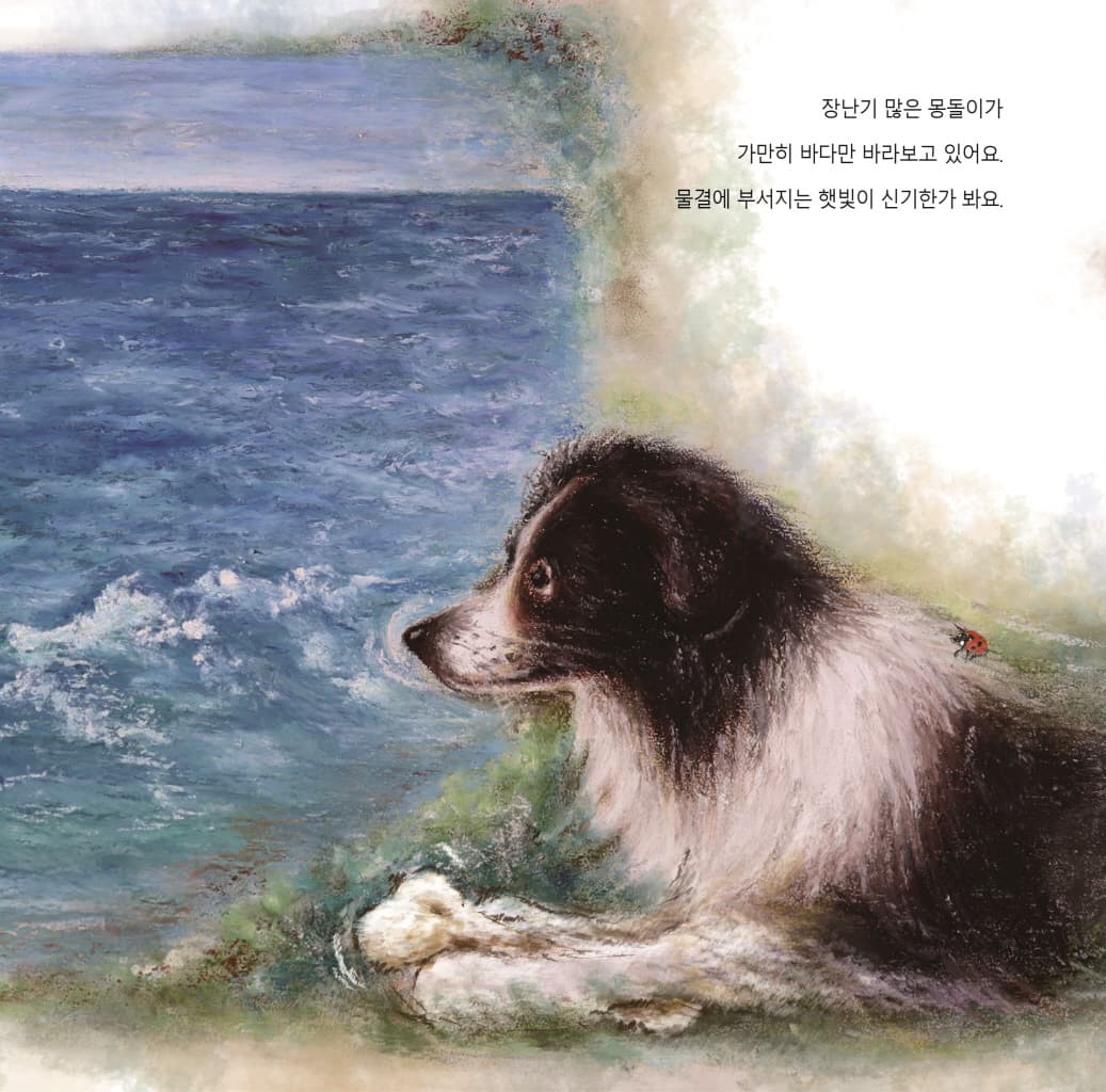 여름 섬 보물들