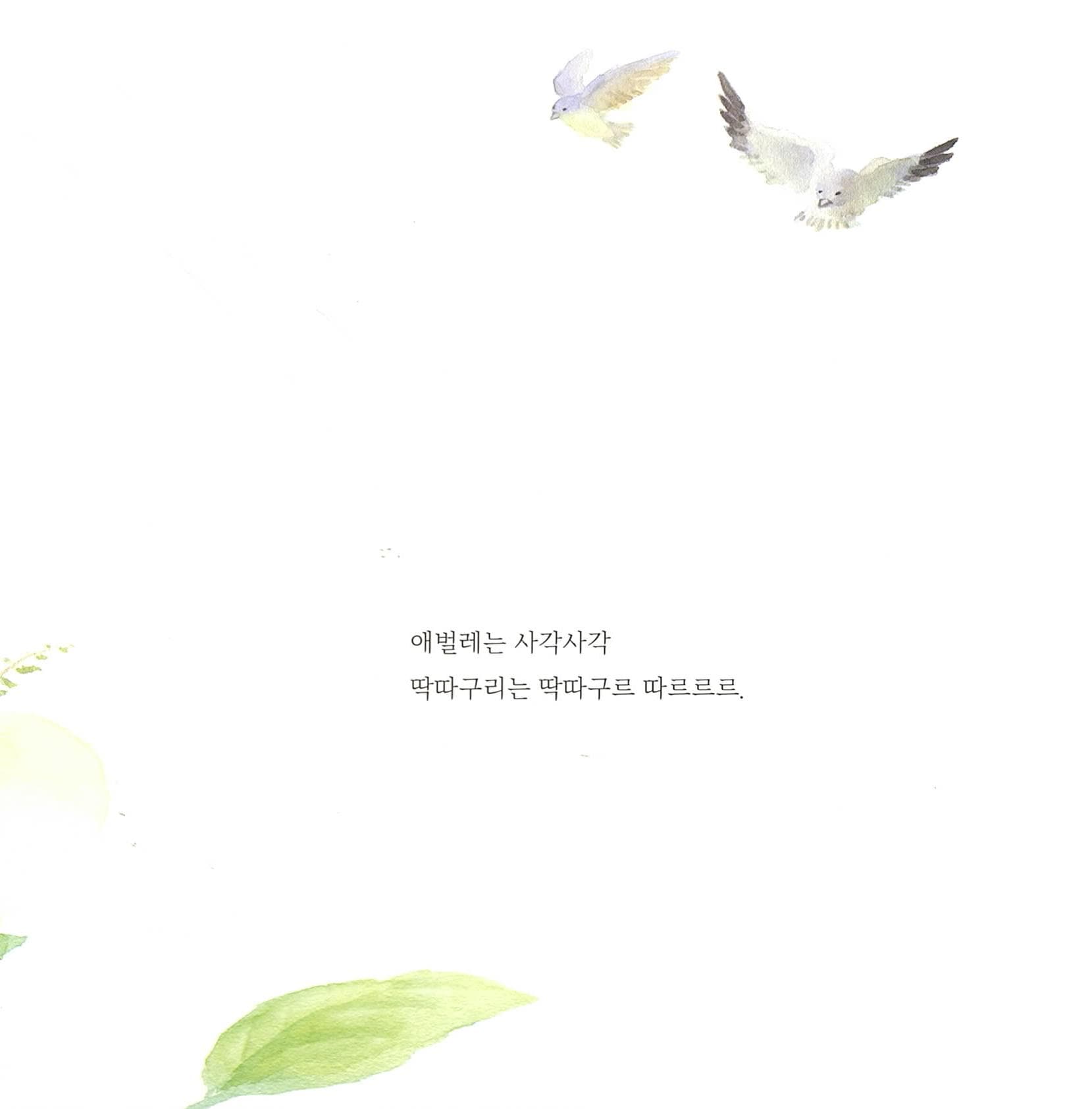 여름 숲 모뽀리 소리