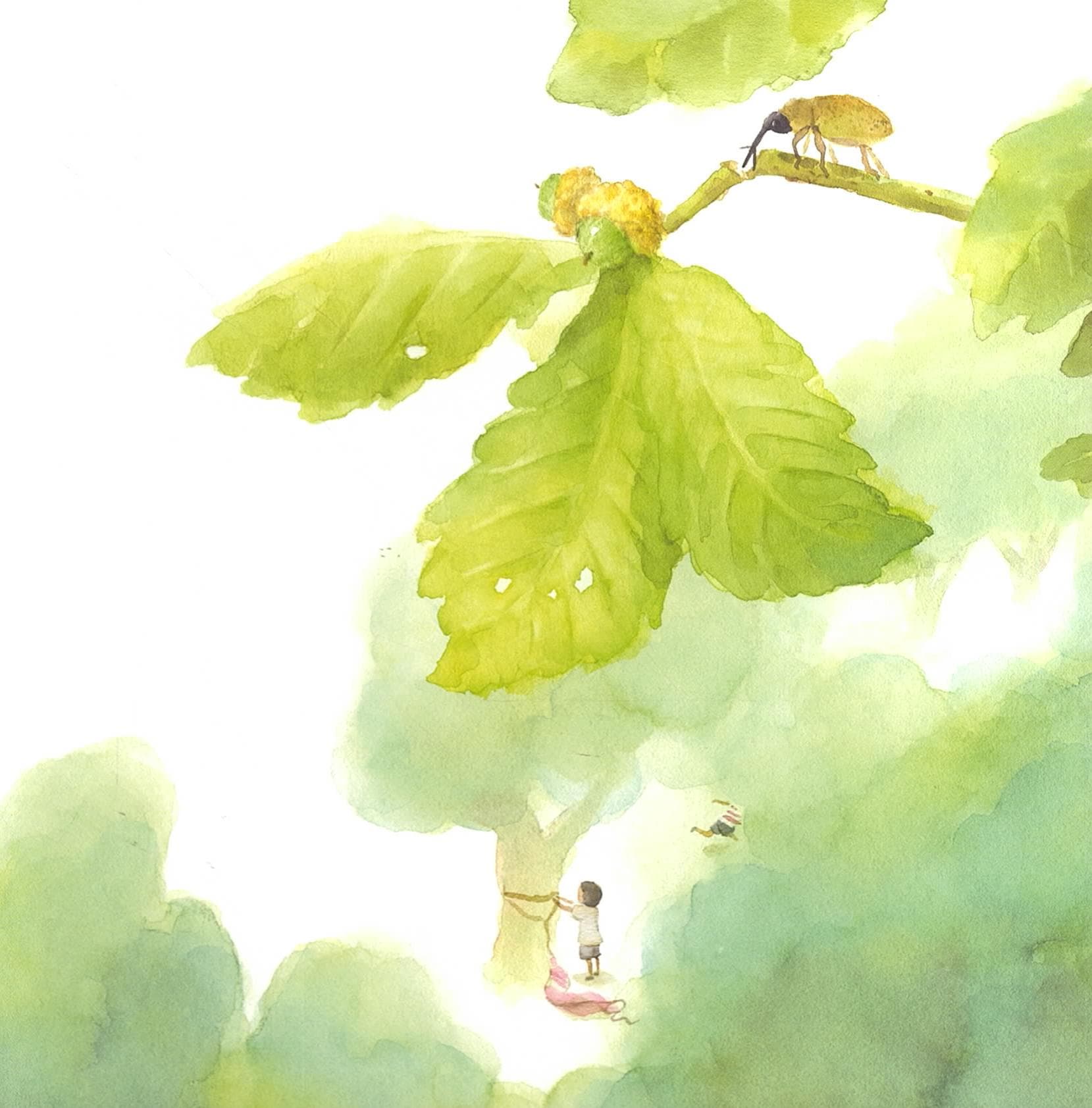 여름 숲 모뽀리 소리