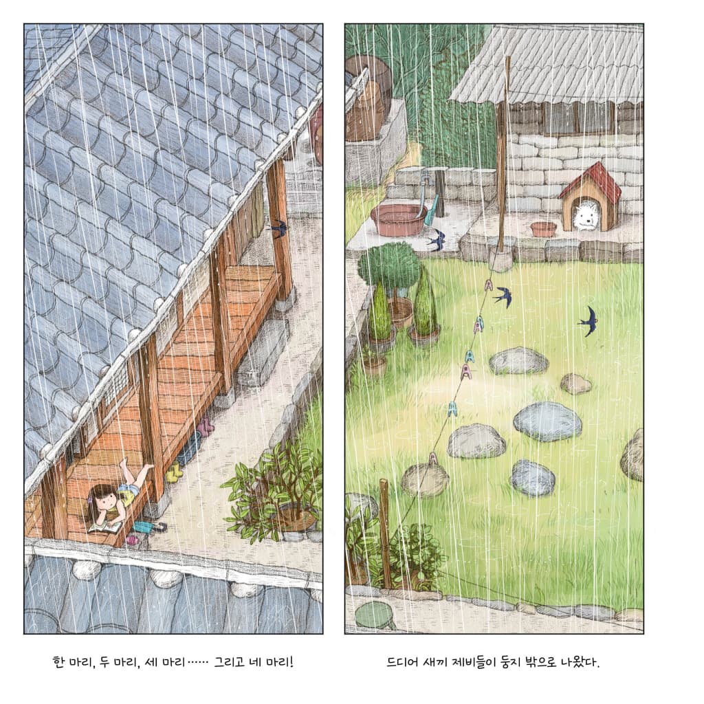여름, 제비
