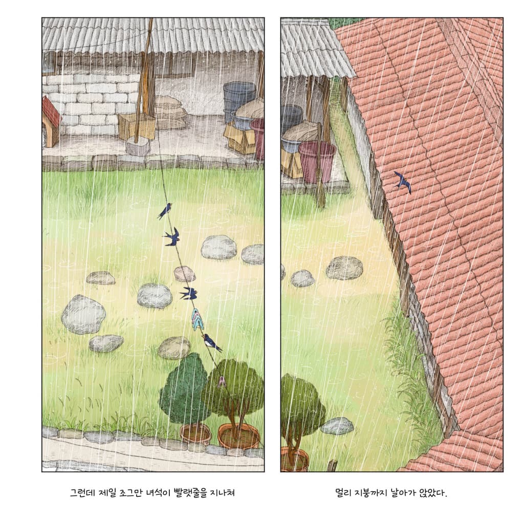 여름, 제비