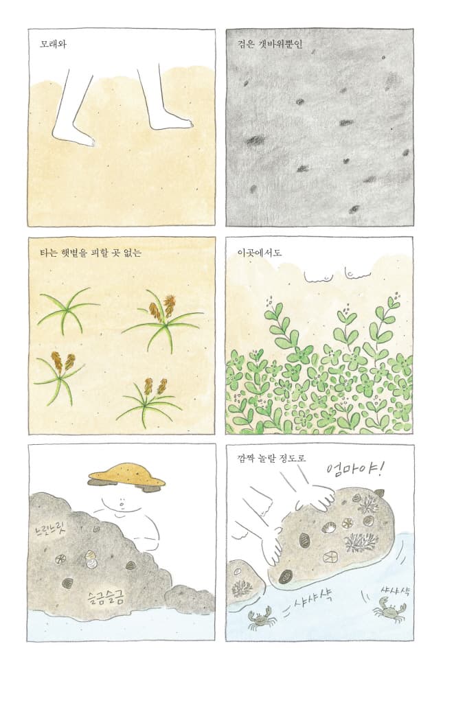 여름의 루돌프