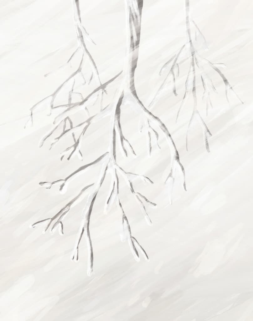 여우 목도리