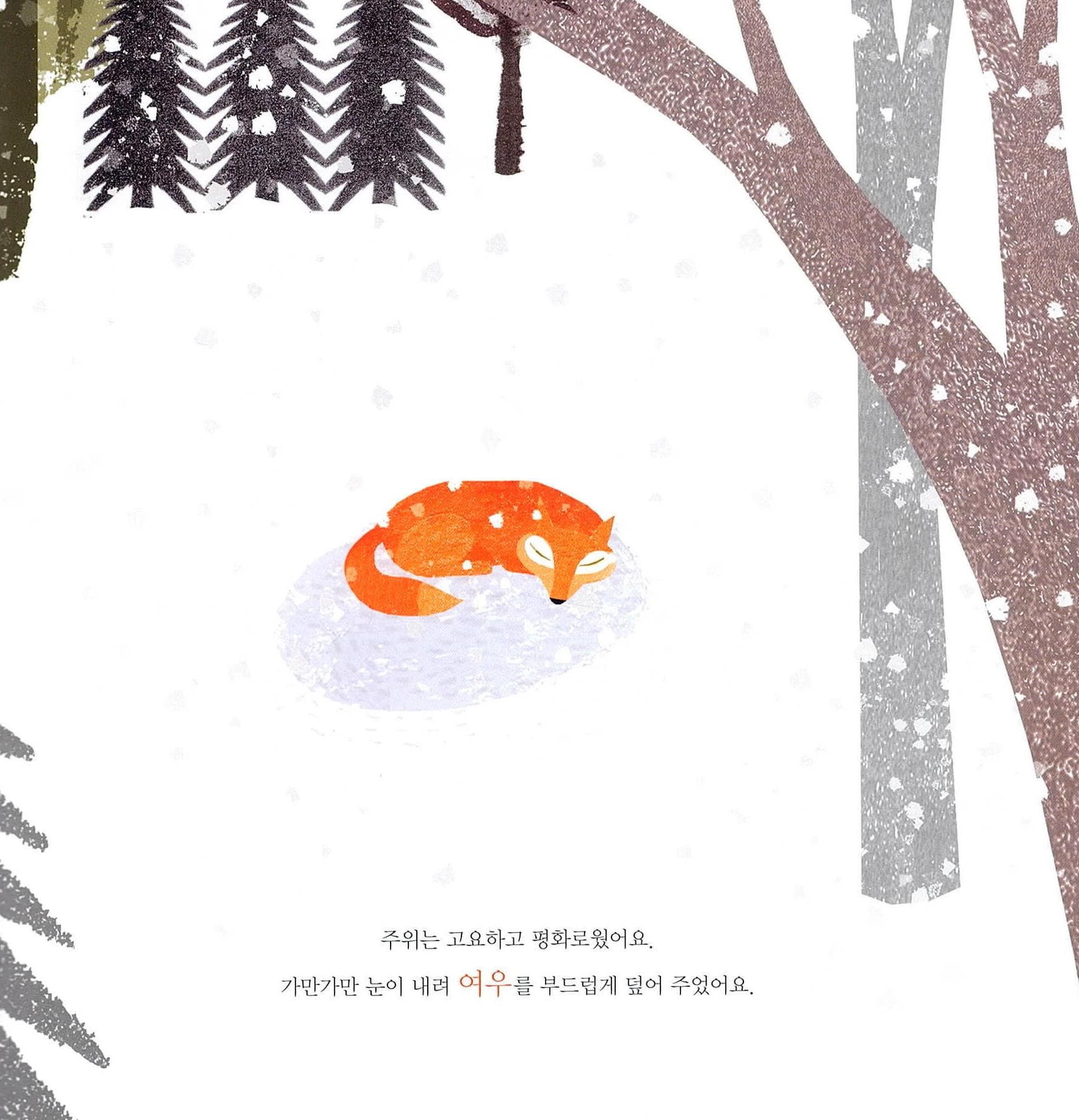 여우나무