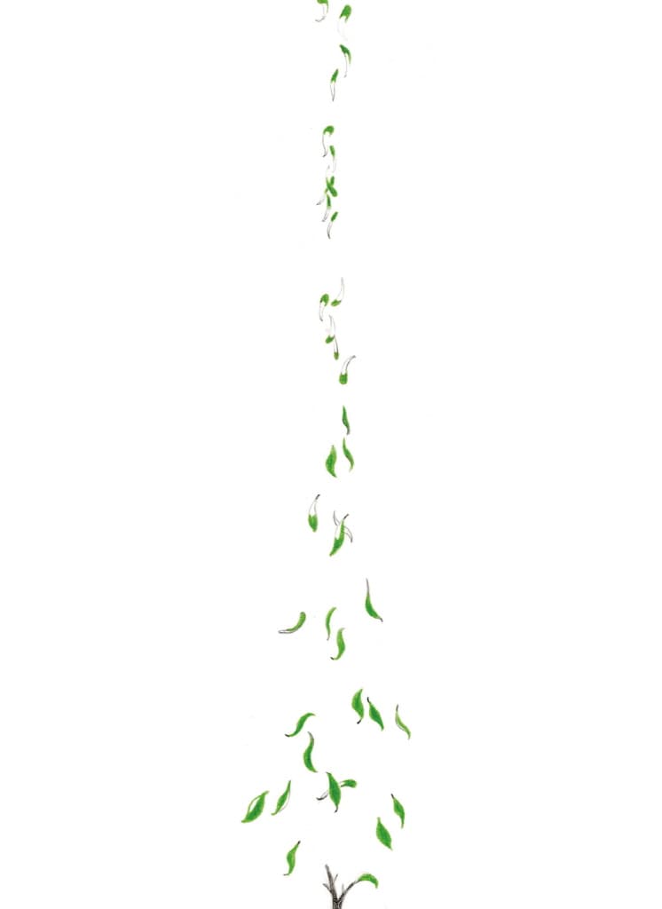 연필