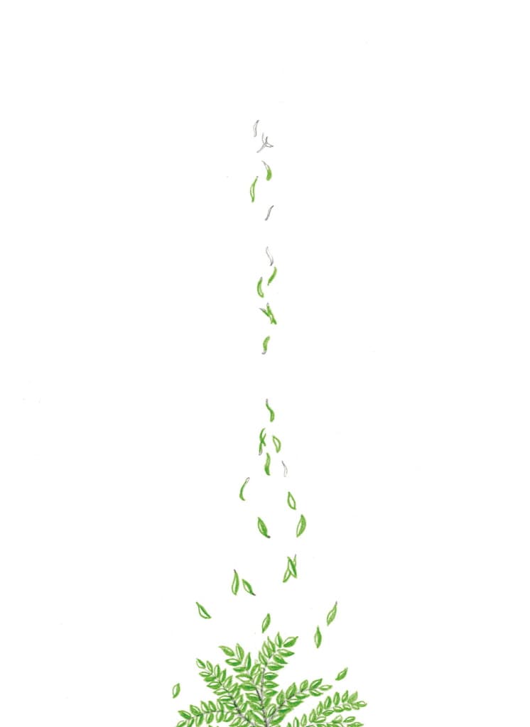 연필