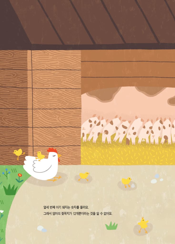 열세 번째 아기 돼지