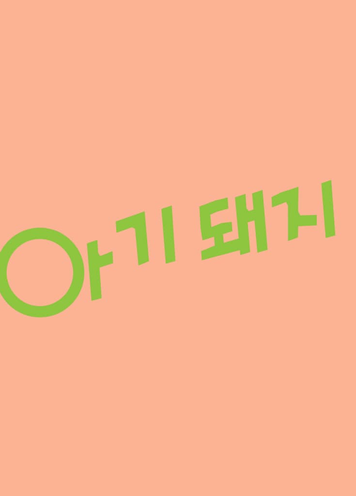 열세 번째 아기 돼지