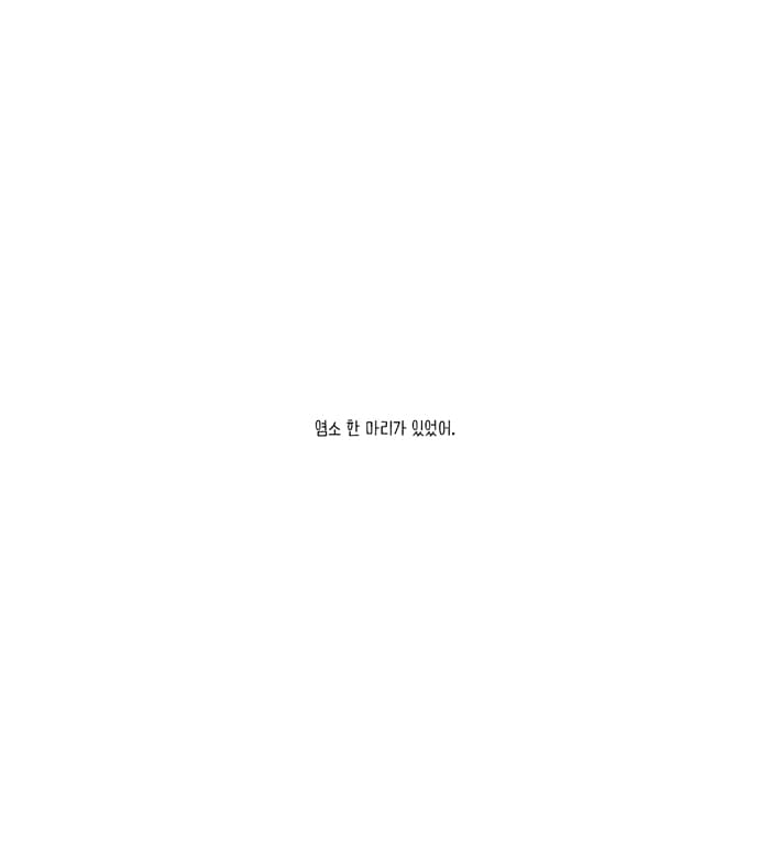 염소와 오리 : 뿔이 생길 때 아프지 않을까?