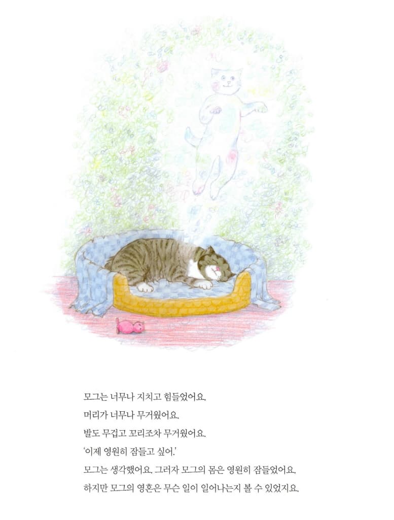 안녕, 모그!