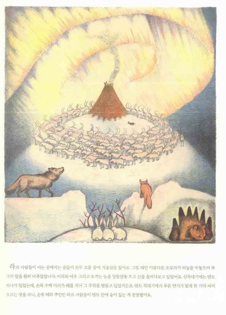 오로라의 아이들