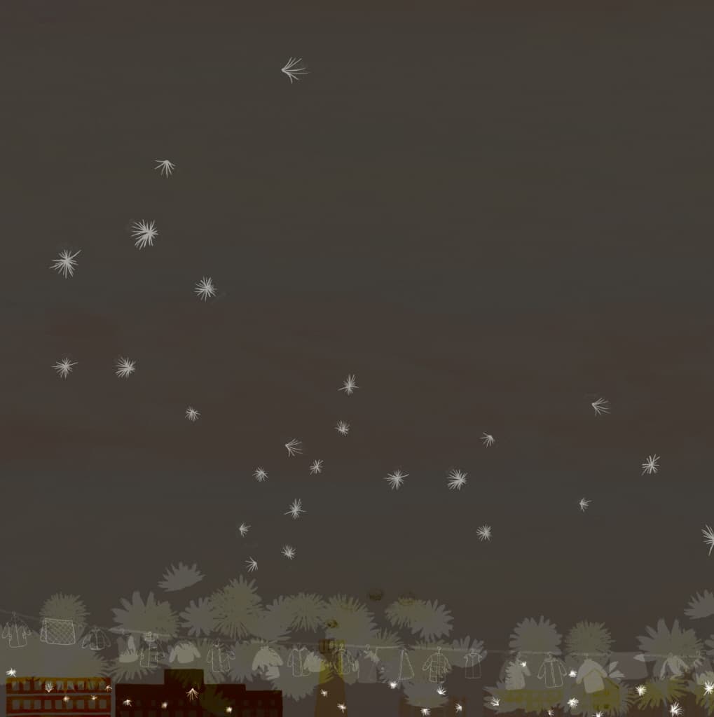 오리털 홀씨