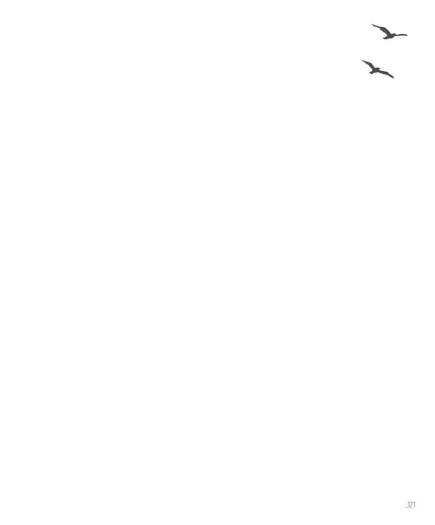옥춘당 (그림책)