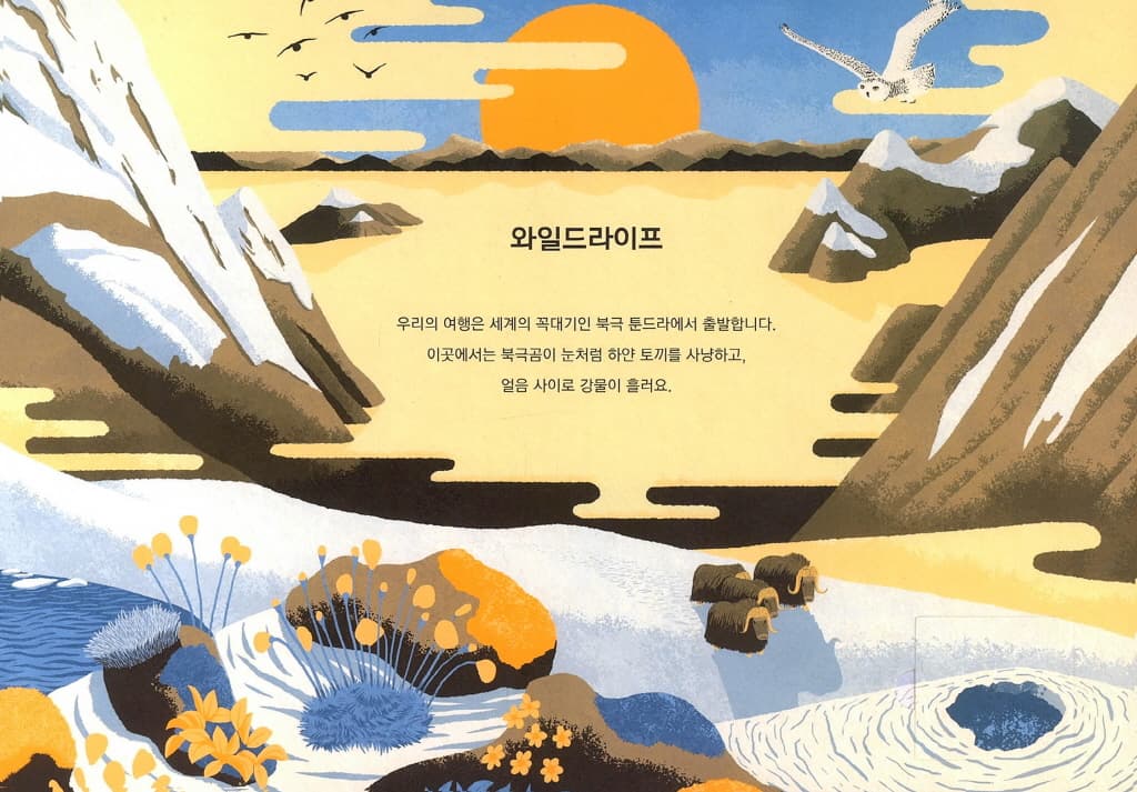 와일드라이프