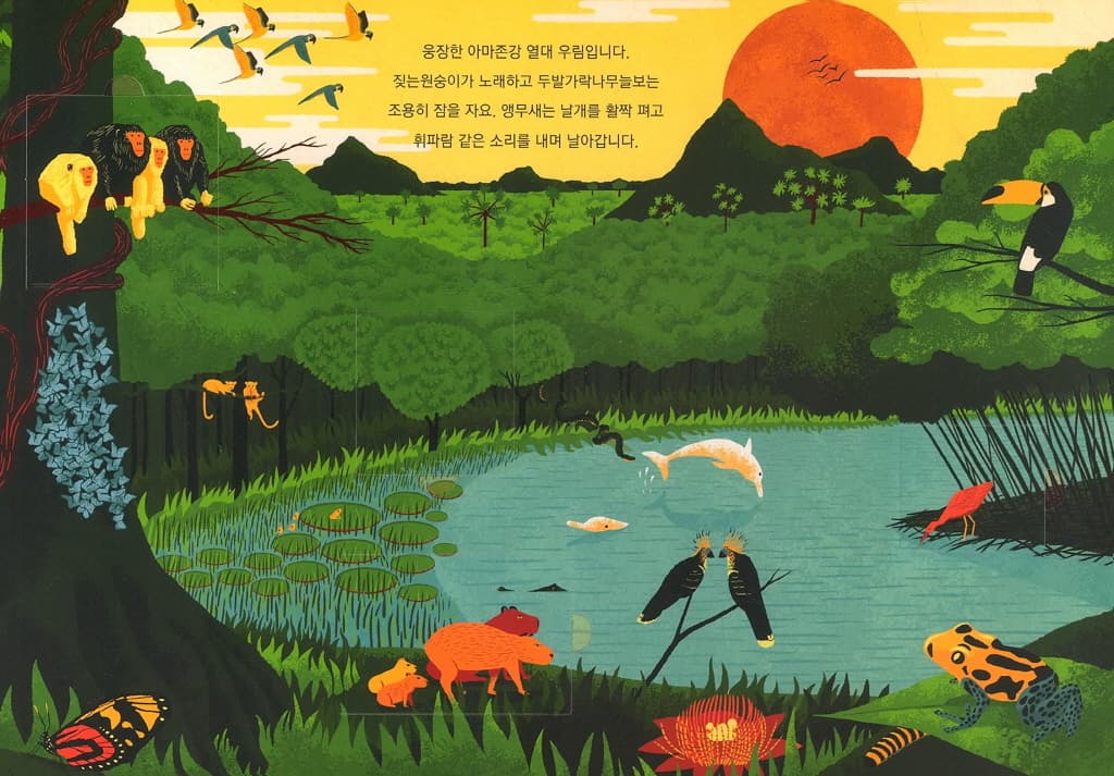 와일드라이프