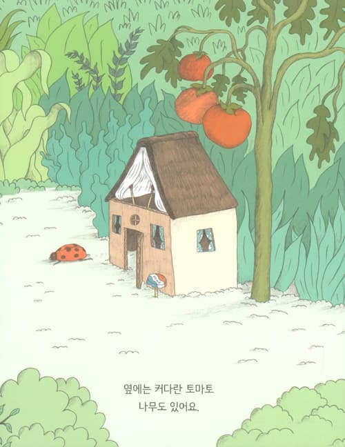 완두의 여행 이야기