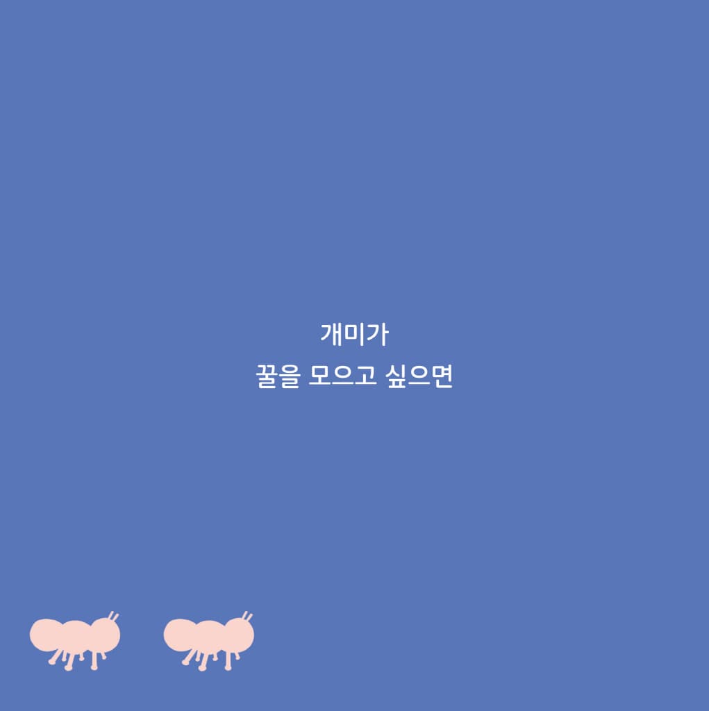 완두콩 동그라미
