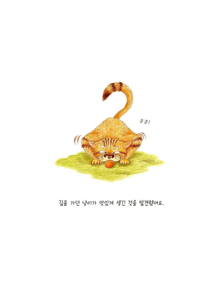 냥이의 이상한 하루