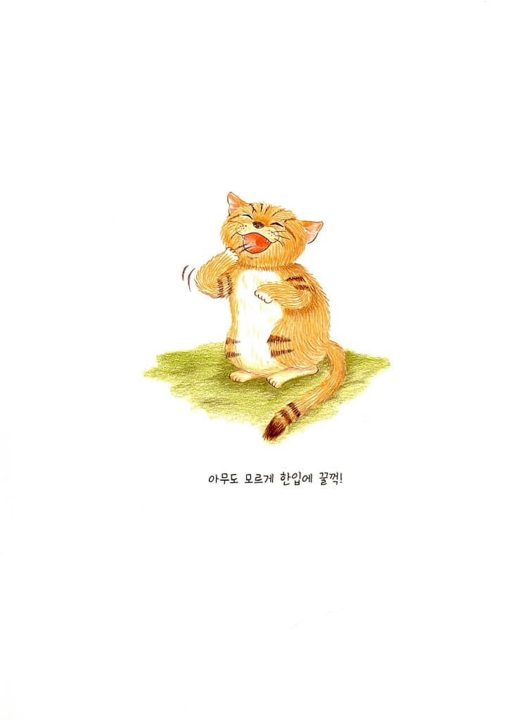 냥이의 이상한 하루