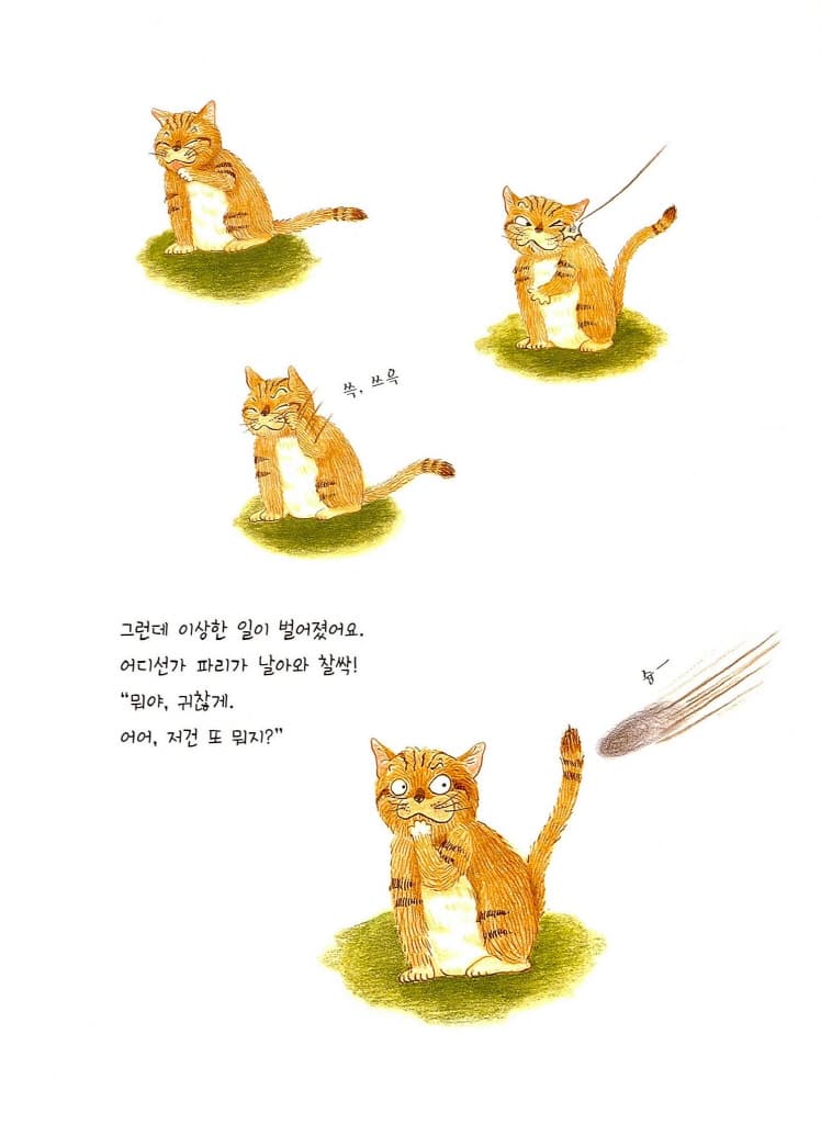 냥이의 이상한 하루