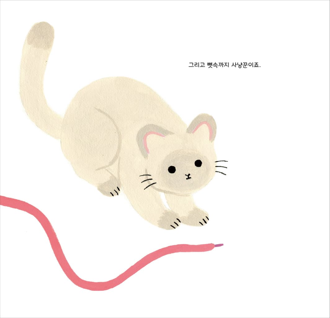 용감한 고양이 올리비아