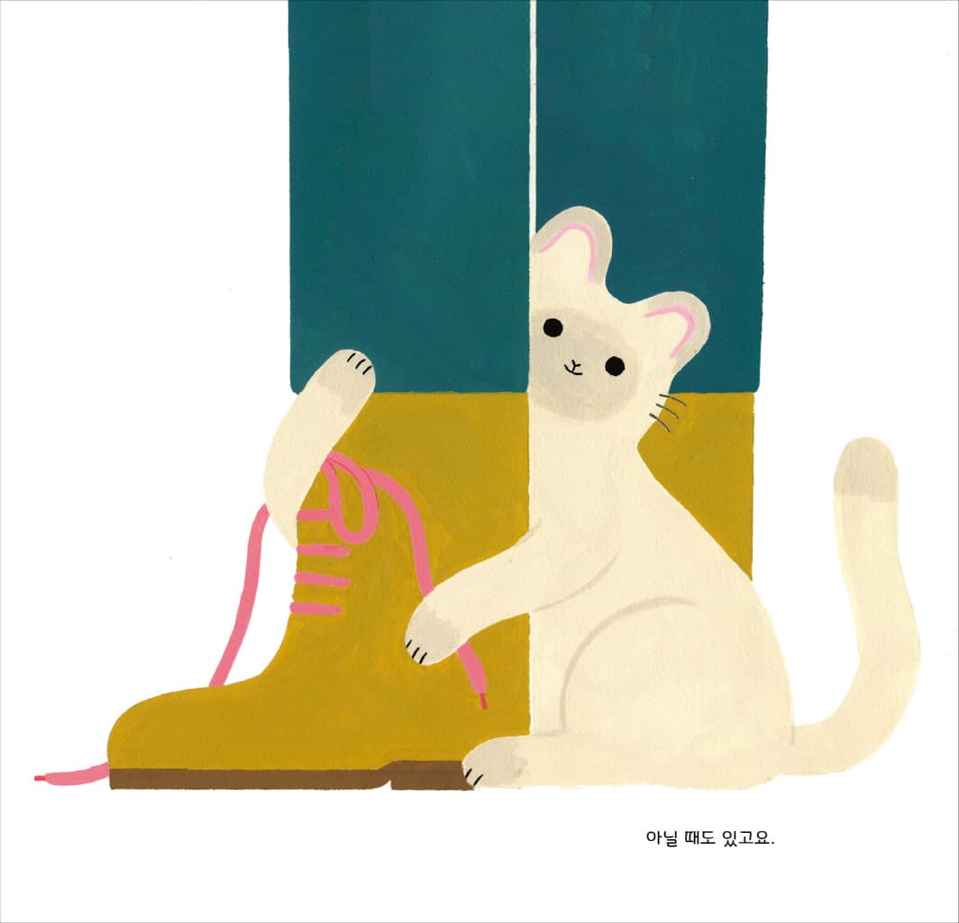 용감한 고양이 올리비아