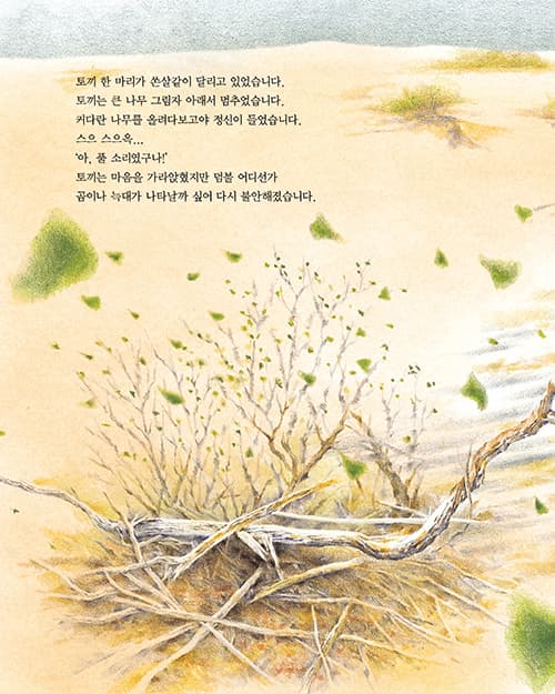 용감한 토끼
