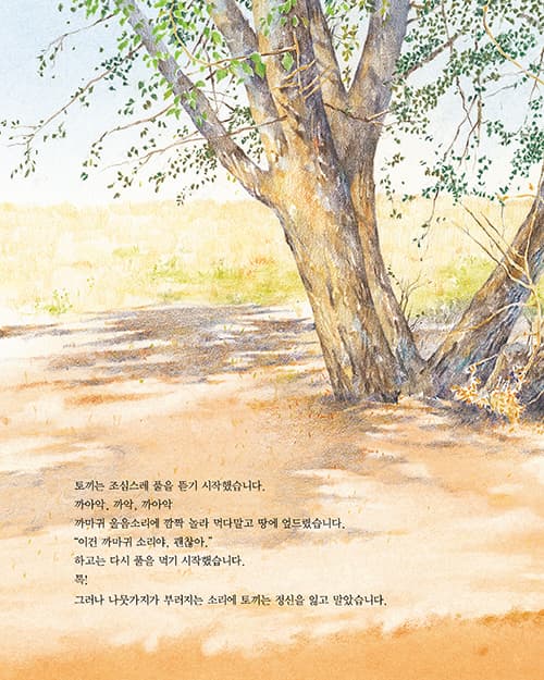 용감한 토끼