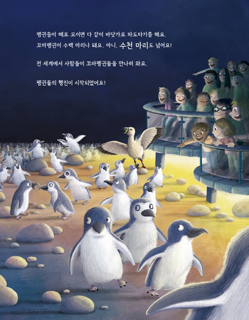 펭귄을 구한 작은 스웨터