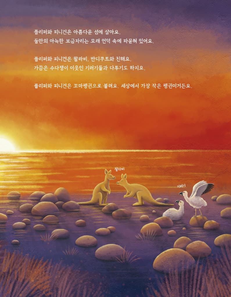 펭귄을 구한 작은 스웨터