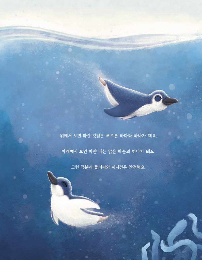 펭귄을 구한 작은 스웨터