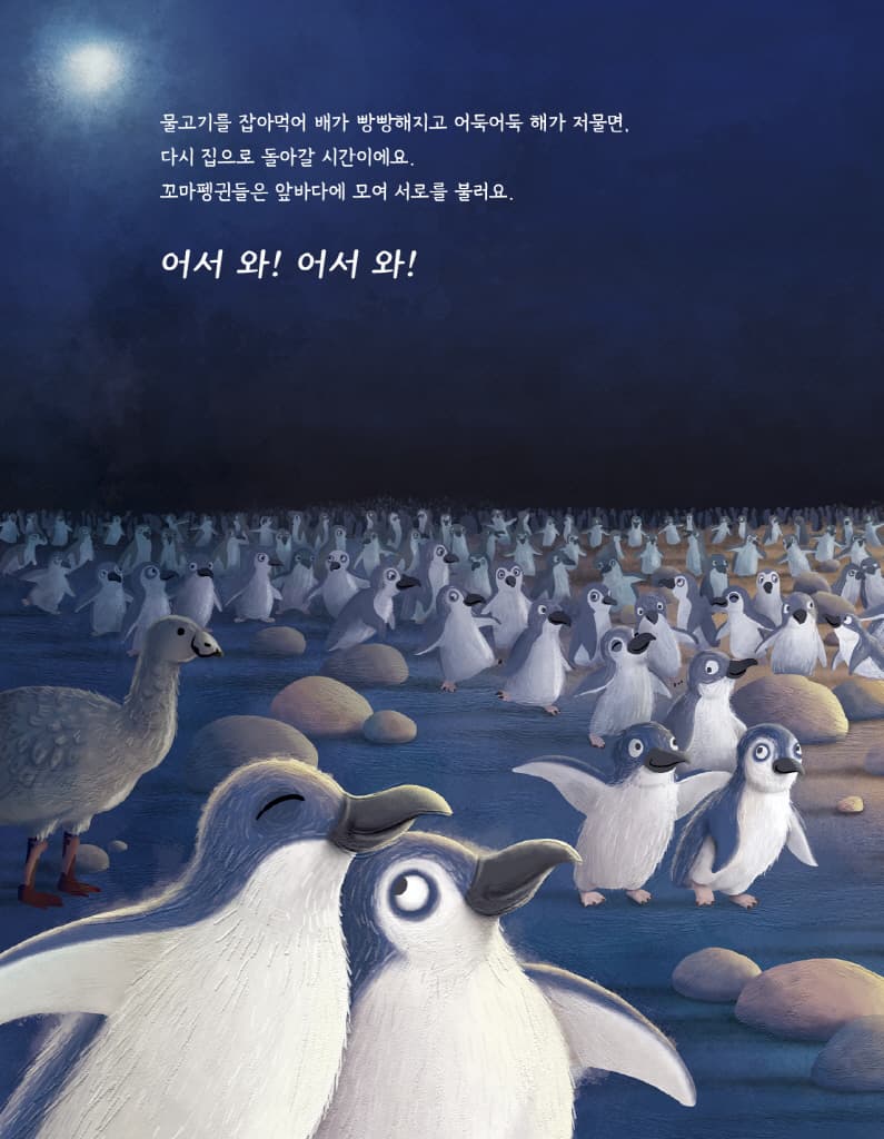 펭귄을 구한 작은 스웨터
