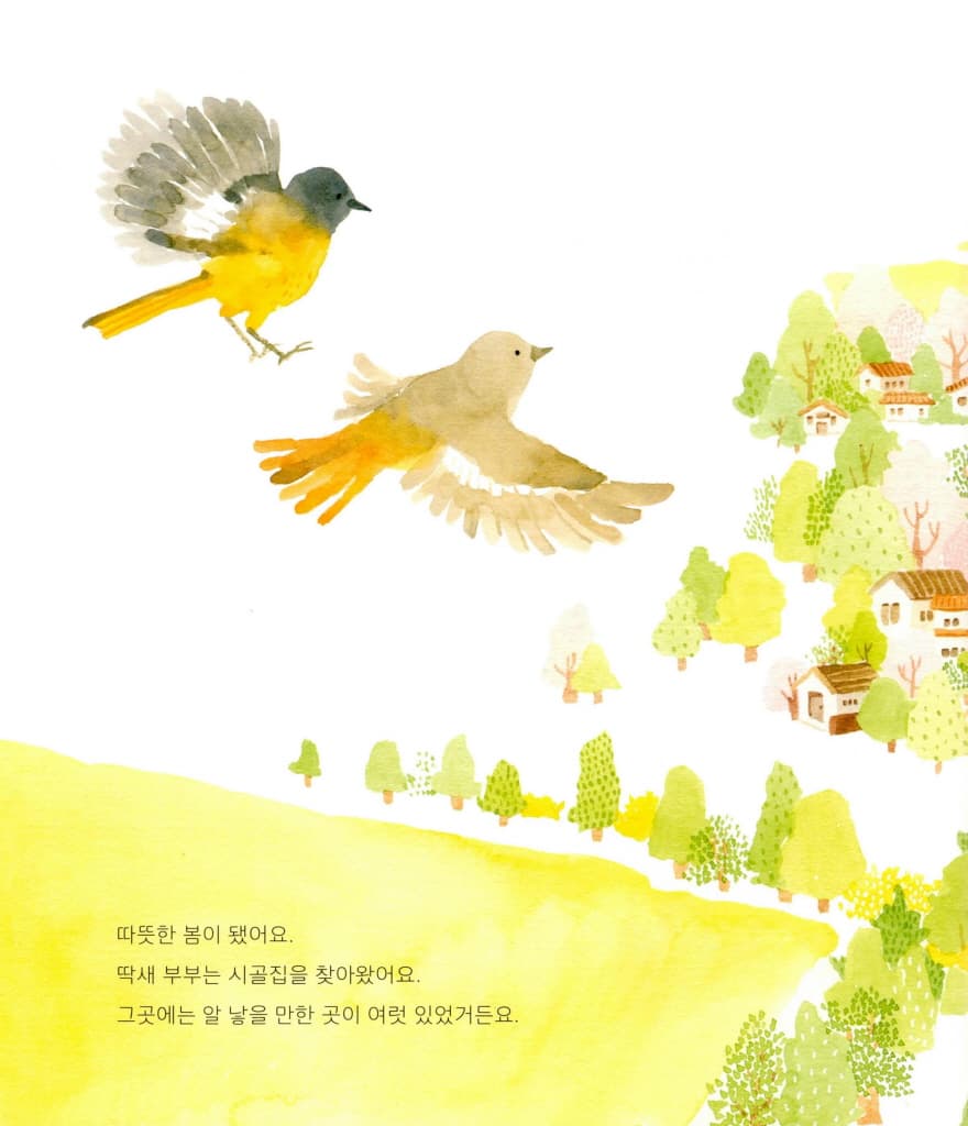 편지 받는 딱새
