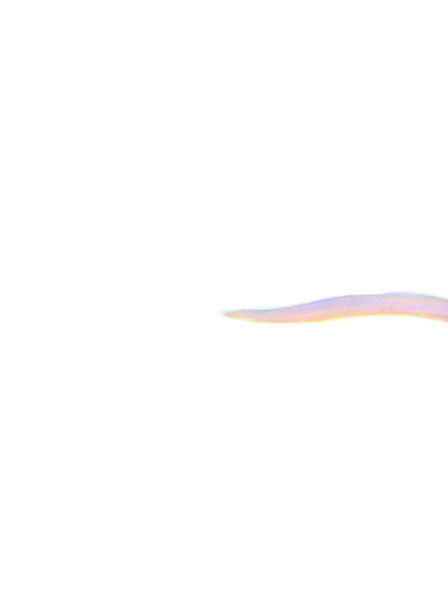 어쩌면 그건