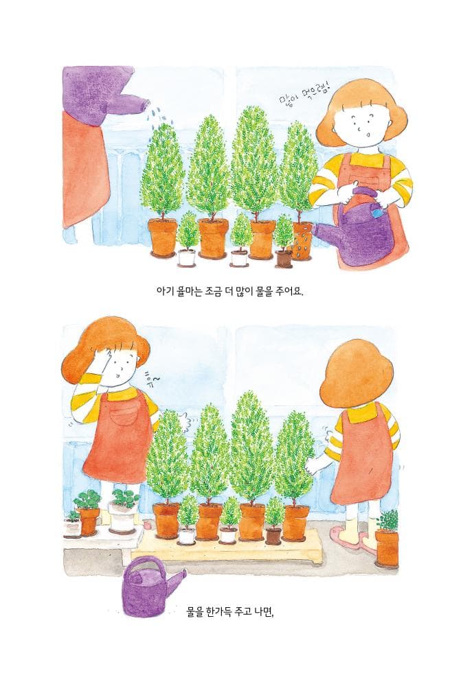 율마의 별빛 정원 이야기