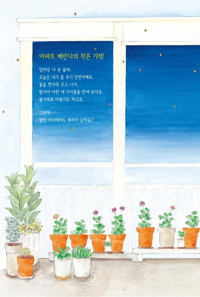 율마의 별빛 정원 이야기