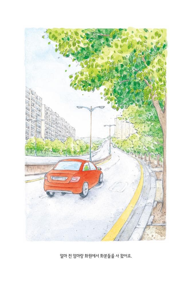 율마의 별빛 정원 이야기