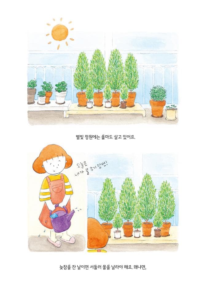 율마의 별빛 정원 이야기