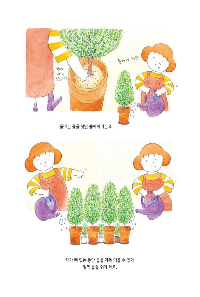 율마의 별빛 정원 이야기