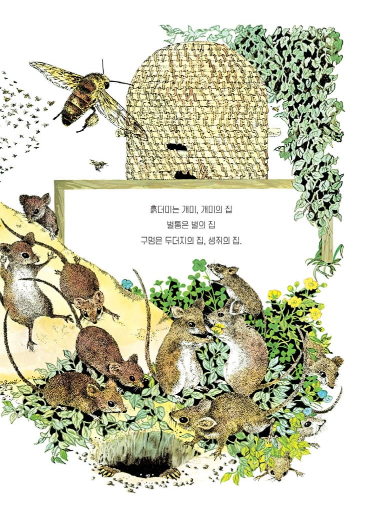 이 집은 나를 위한 집