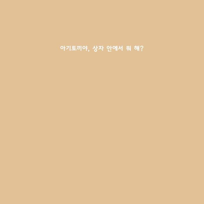 이건 상자가 아니야