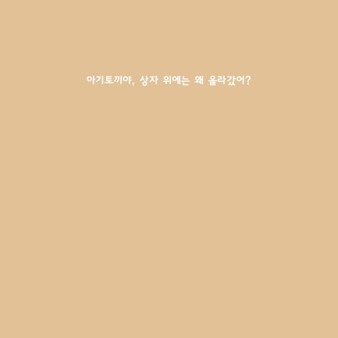 이건 상자가 아니야