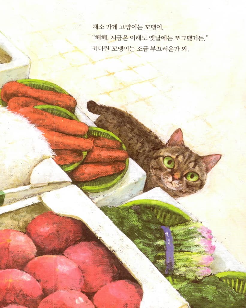이름 없는 고양이