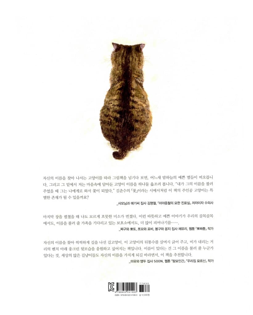 이름 없는 고양이