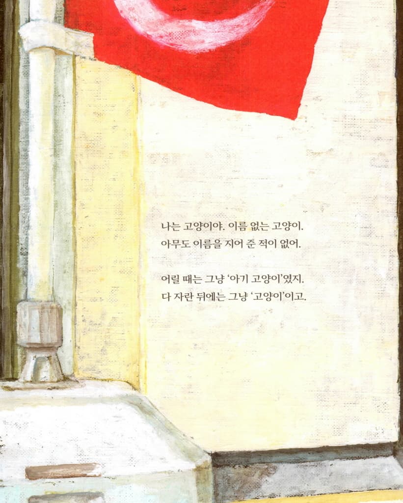 이름 없는 고양이